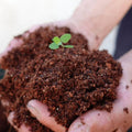 Ready-To-Use Cocopeat  (800 grams)