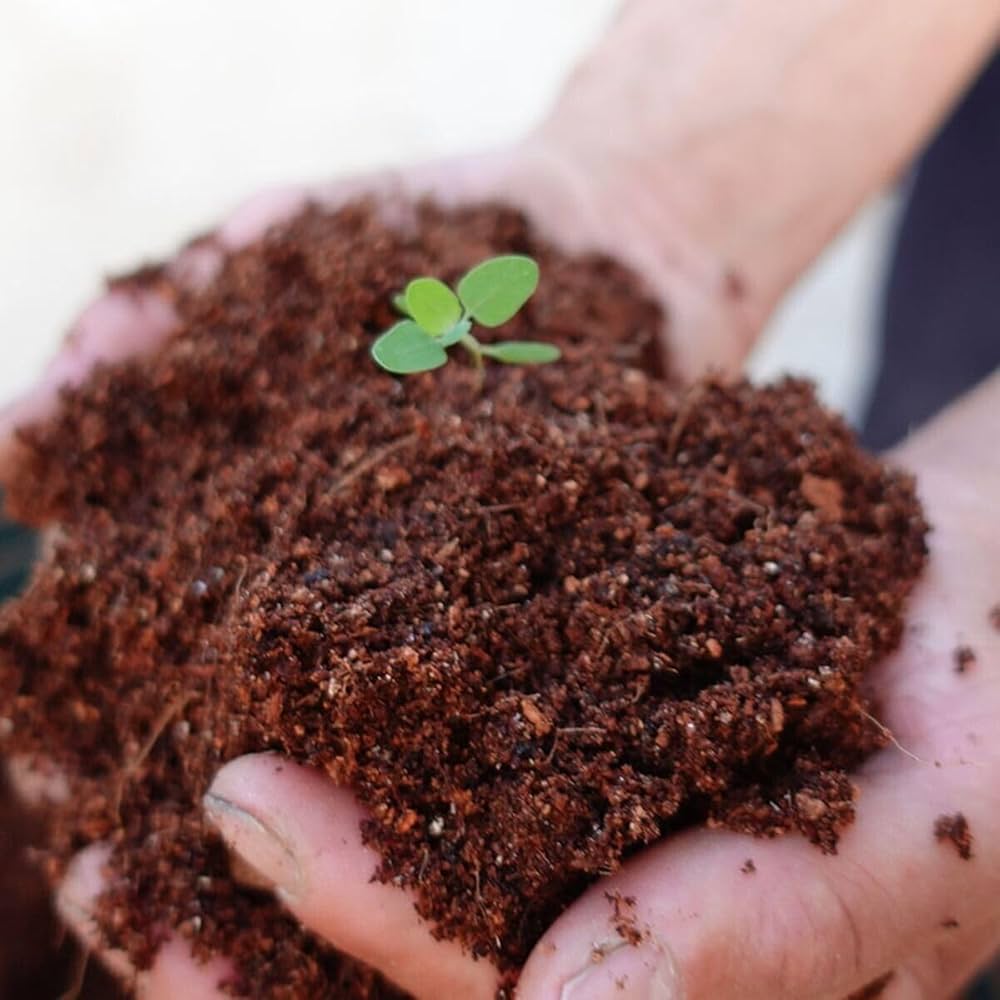 Ready-To-Use Cocopeat  (800 grams)
