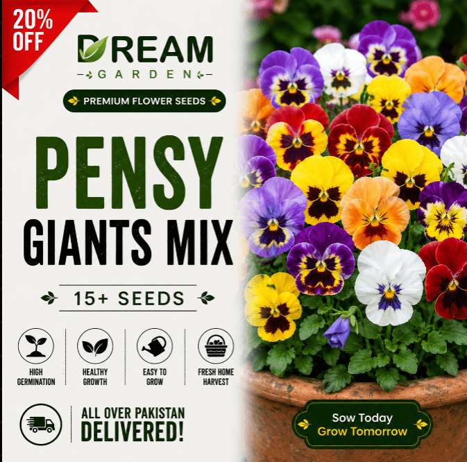 Pensy Giants Mix 15+ Seeds
