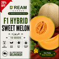 F1 Hybrid Sweet Melon (خربوزہ) 10 Seeds