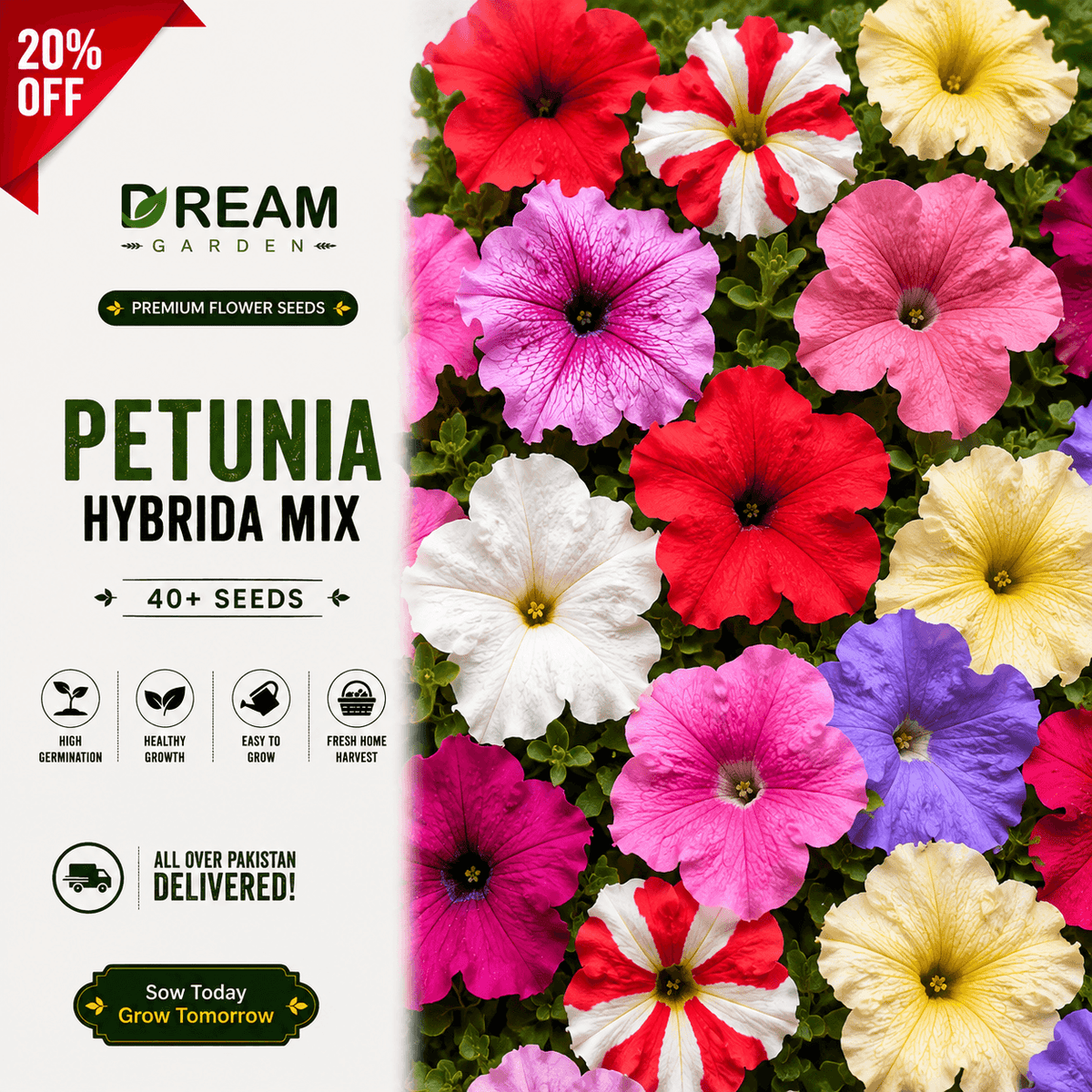 Petunia Hybirda Mix 40+ Seeds