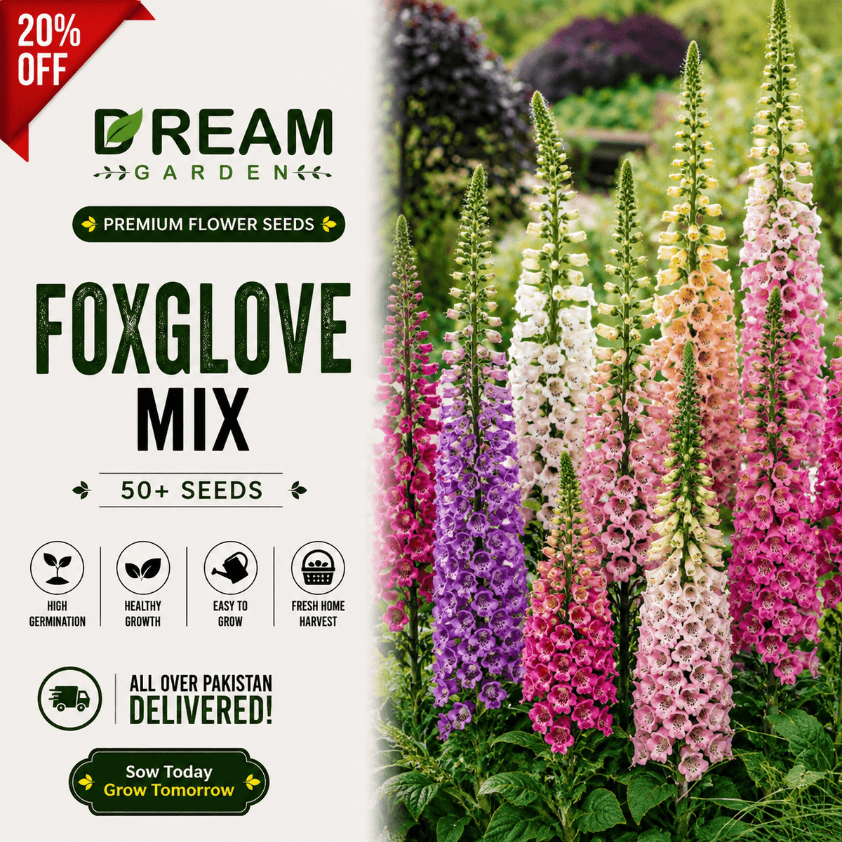 Foxg Love Mix 50+ Seeds
