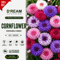 Cornflower (cantaurea cyanus) 20+ Seeds