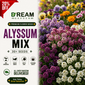 Alyssum Mix 30+ Seeds