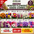 12 Types Of Winter Flowers Seeds Combo