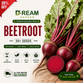 Beet Root (چقندر) 50+ Seeds