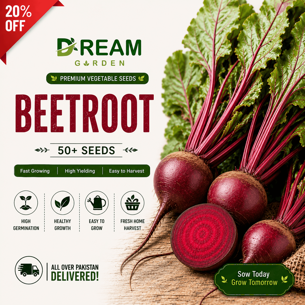 Beet Root (چقندر) 50+ Seeds