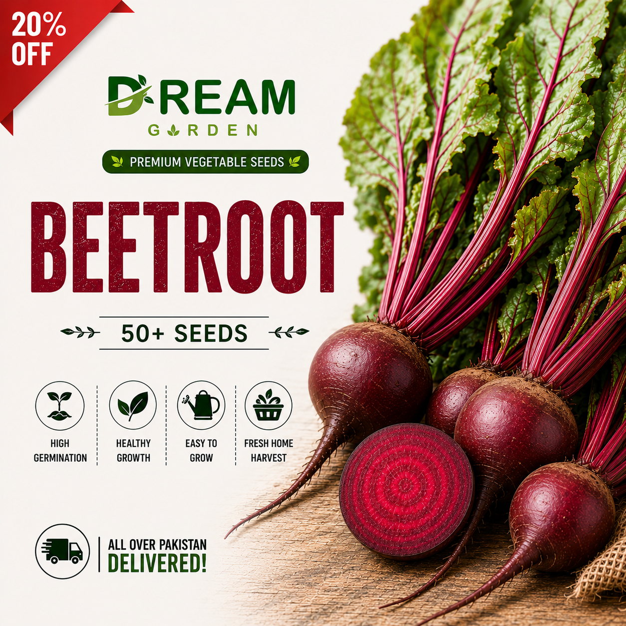 Beet Root (چقندر) 50+ Seeds