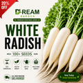 White Radish (سفید مولی) 100+ Seeds