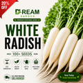 White Radish (سفید مولی) 100+ Seeds