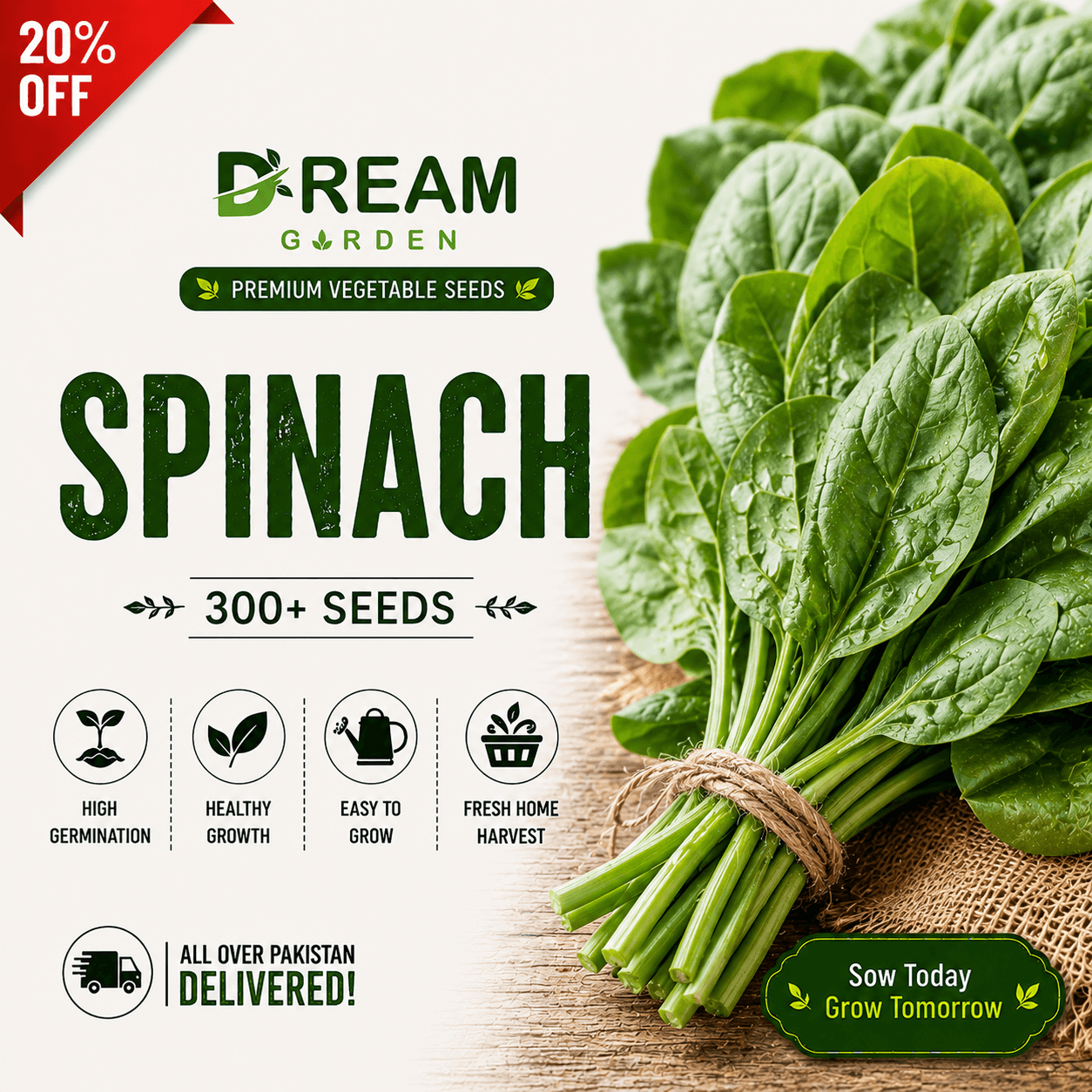 Spinach (پالک) 300+ Seeds