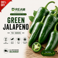 Green jalapeno (سبز جیلوپینو) 10+ Seeds