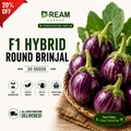 F1 Hybrid Round Brinjal (گول بینگن) 20 seeds