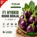 F1 Hybrid Round Brinjal (گول بینگن) 20 seeds