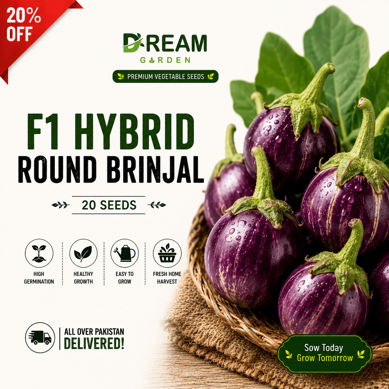 F1 Hybrid Round Brinjal (گول بینگن) 20 seeds