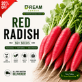 Red Radish (لال مولی) 50+ Seeds