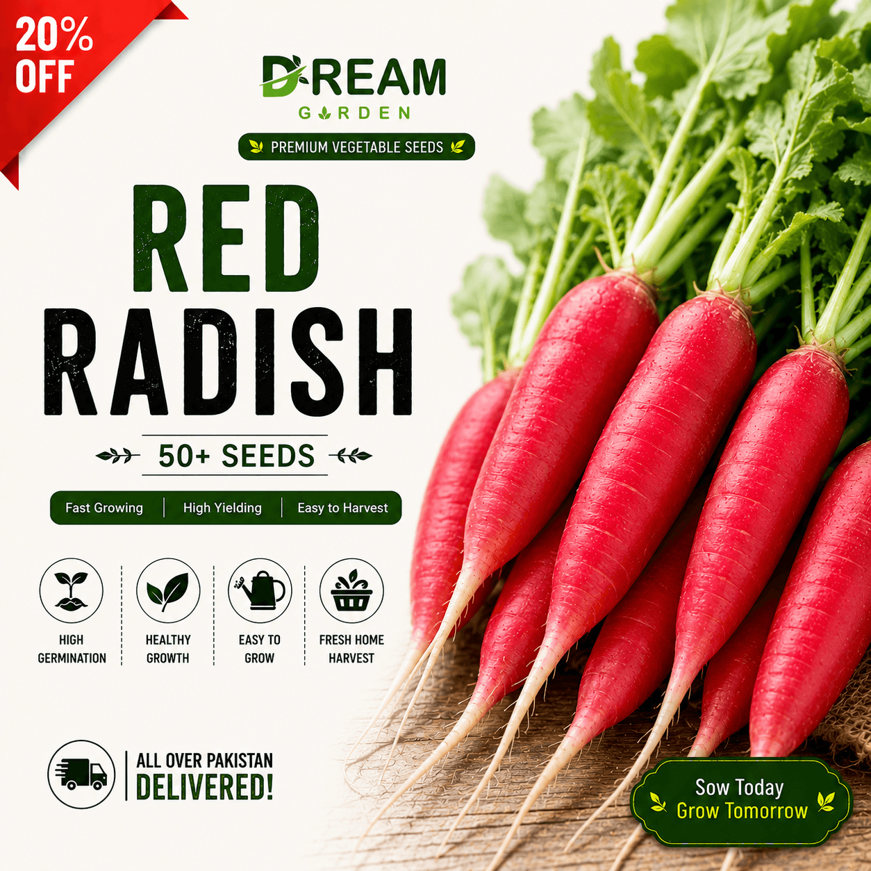 Red Radish (لال مولی) 50+ Seeds