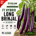 F1 Hybrid Long Brinjal (لمبا بینگن) 20 Seeds