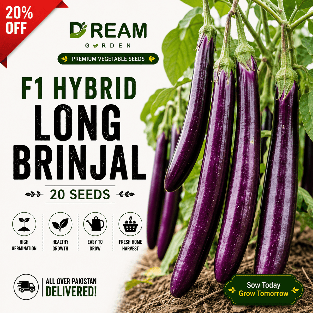F1 Hybrid Long Brinjal (لمبا بینگن) 20 Seeds