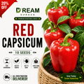 Red Capsicum (لال شملہ) 10 Seeds
