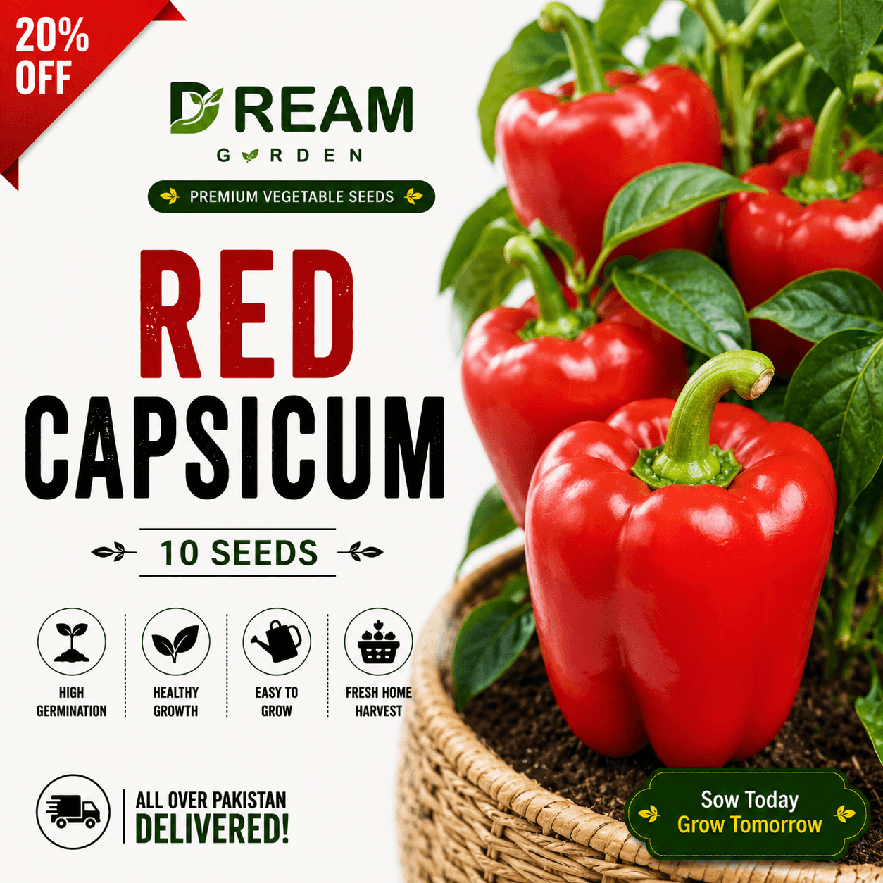 Red Capsicum (لال شملہ) 10 Seeds