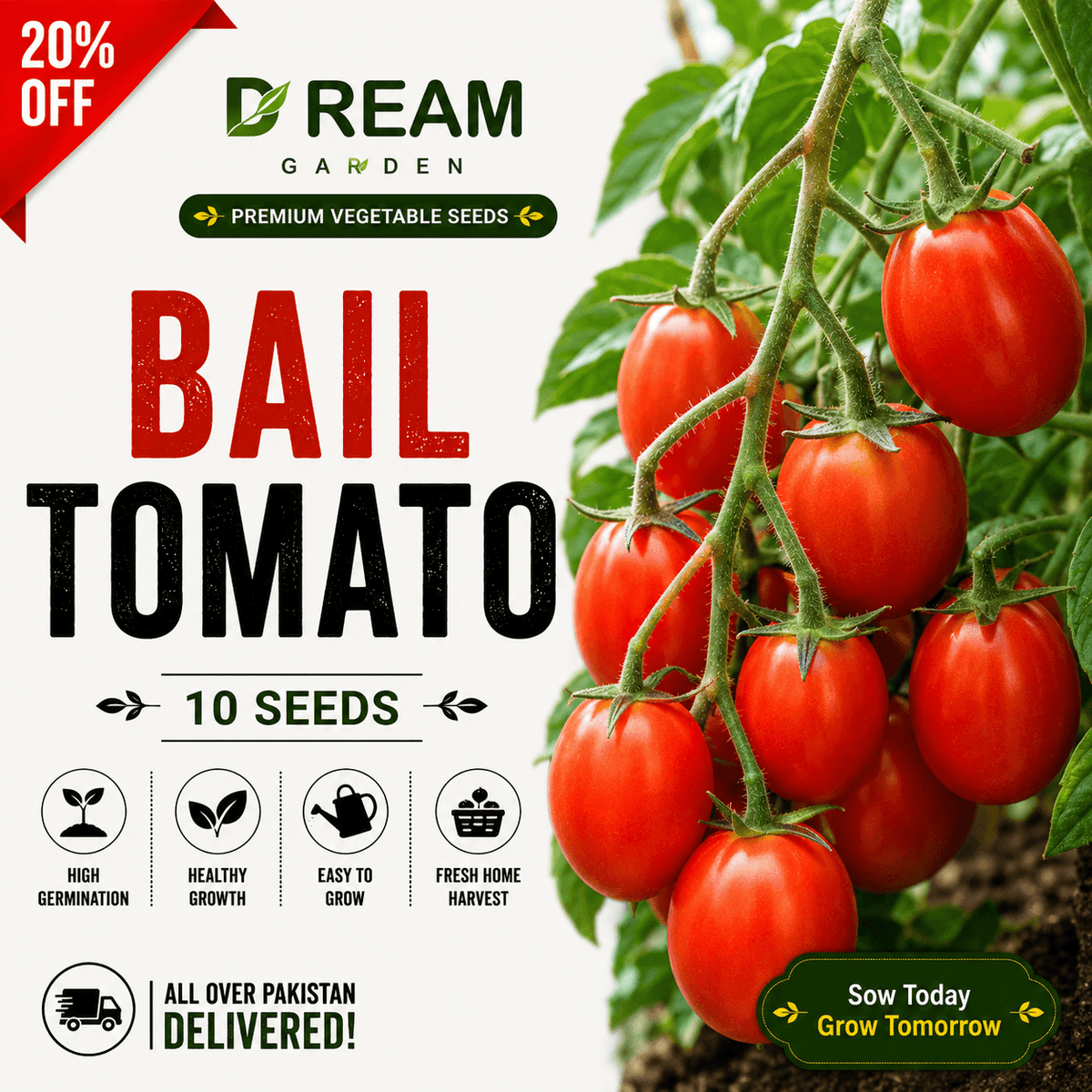 Bail Tomato (بیل ٹماٹر) 10 Seeds