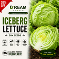 Iceberg (آئس برگ سلاد) 50+ Seeds