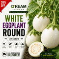 Eggplant Round (گول سفید بینگن) 20 Seeds
