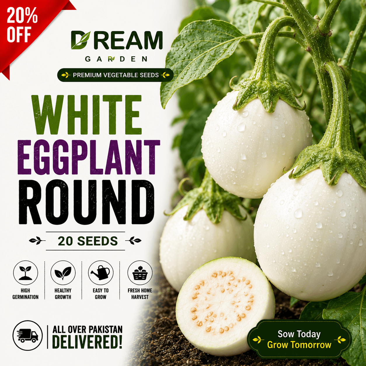 Eggplant Round (گول سفید بینگن) 20 Seeds