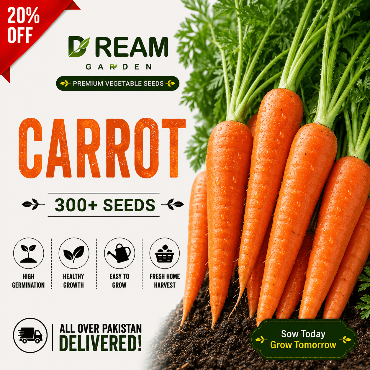Carrot (گاجر) 300+ Seeds