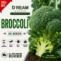 Broccoli (بروکلی) 20 Seeds