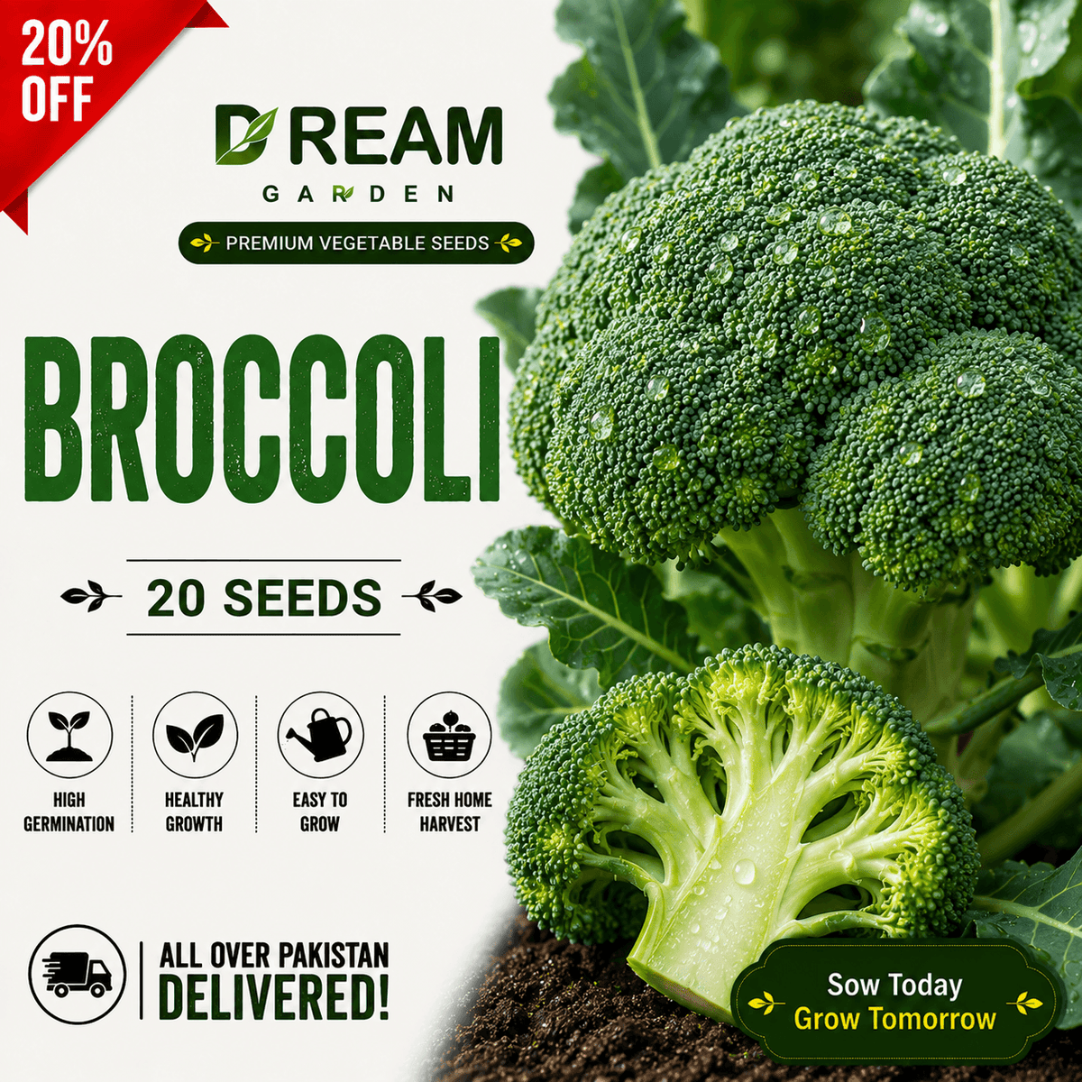 Broccoli (بروکلی) 20 Seeds