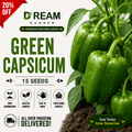 Green Capsicum (سبز شملہ) 15 Seeds