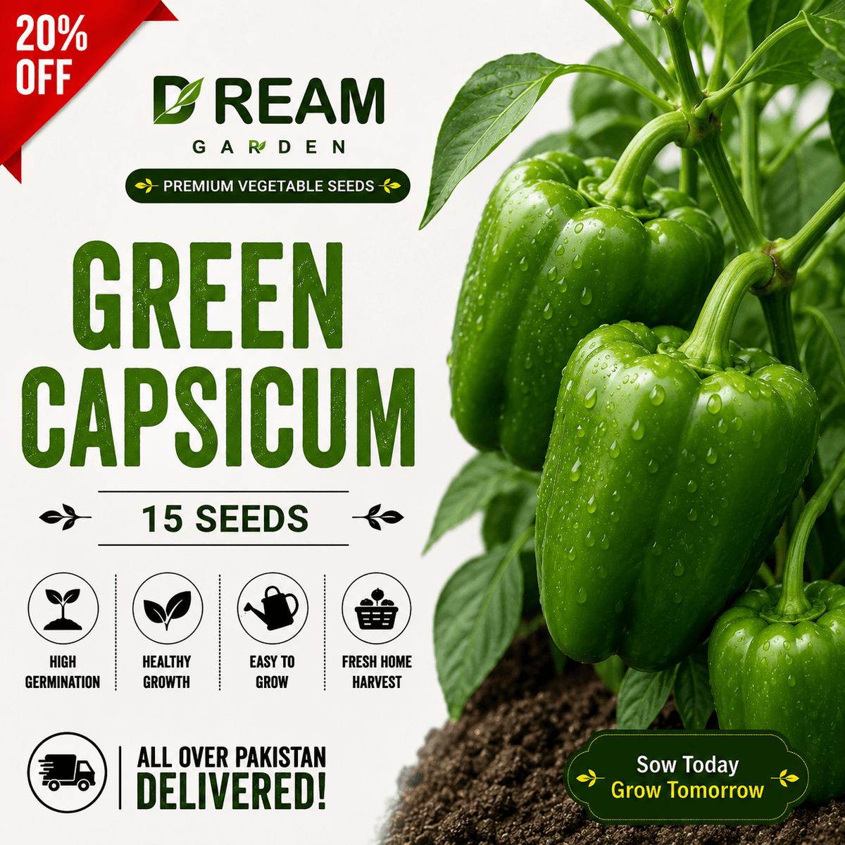 Green Capsicum (سبز شملہ) 15 Seeds