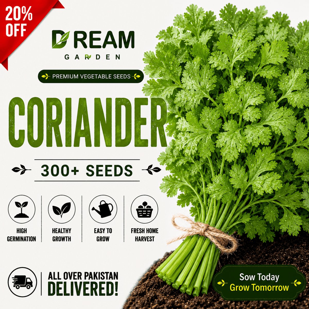 F1 Hybrid coriander (دھنیہ) 300+ Seeds