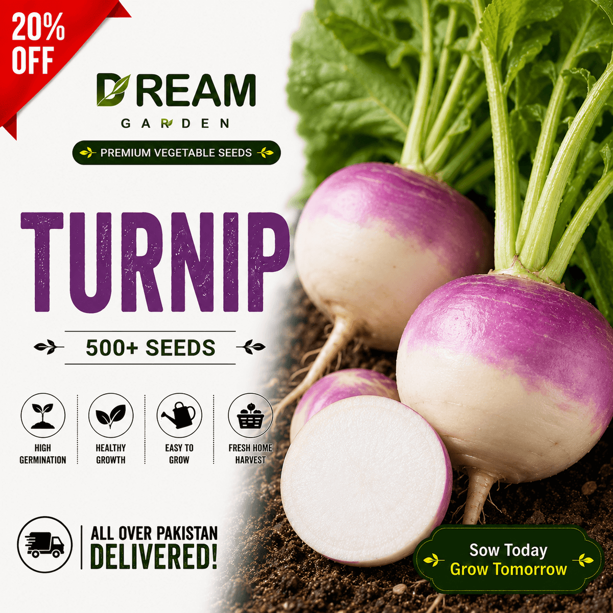 Turnip (شلجم) 500+ Seeds