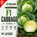 F1 Cabbage (بند گوبھی) 25 Seeds