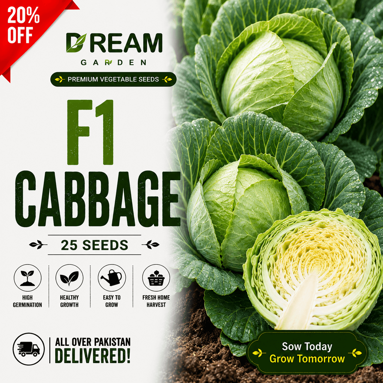 F1 Cabbage (بند گوبھی) 25 Seeds