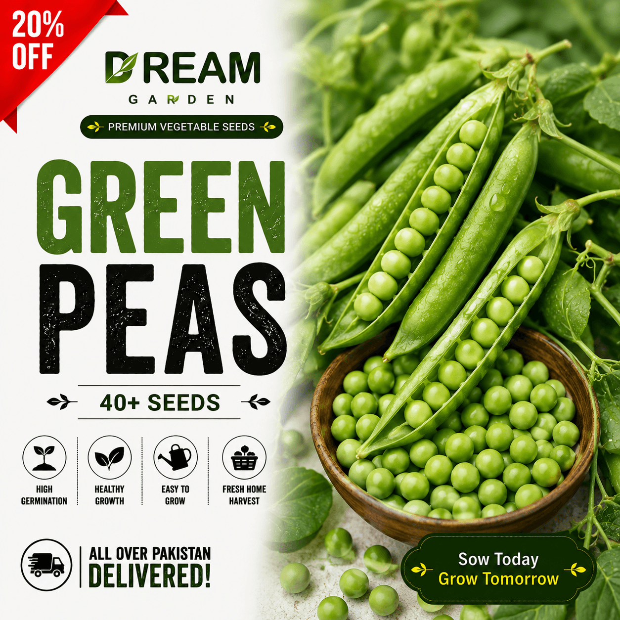 Green Peas (مٹر) 40+ Seeds