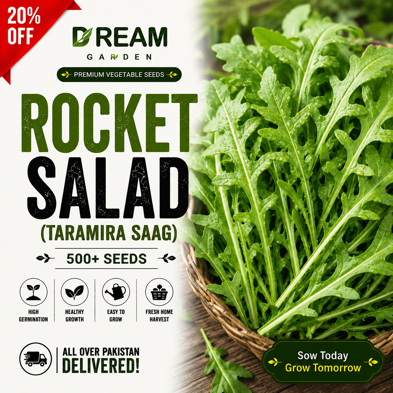 Rocket Salad (Taramira Saag) 500+ Seeds