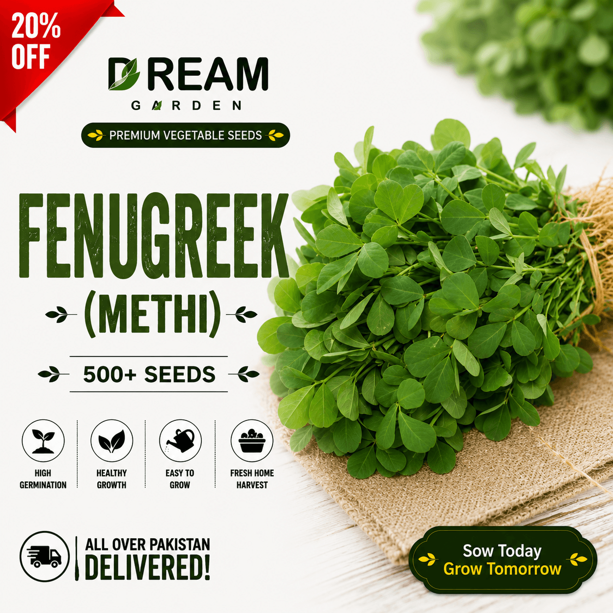 Fenugreek (میتھی) 500+ Seeds