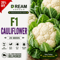F1 Cauliflower (پھول گوبھی) 25 Seeds