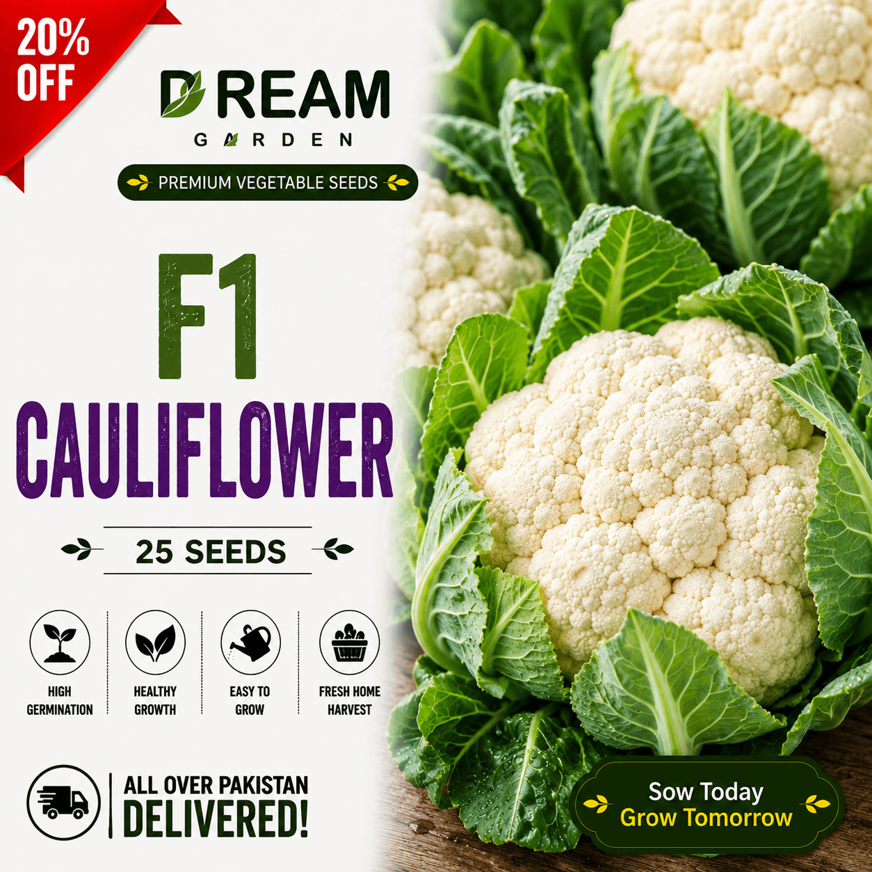F1 Cauliflower (پھول گوبھی) 25 Seeds