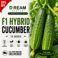 F1 Hybrid Cucumber (کھیرا) 10 Seeds