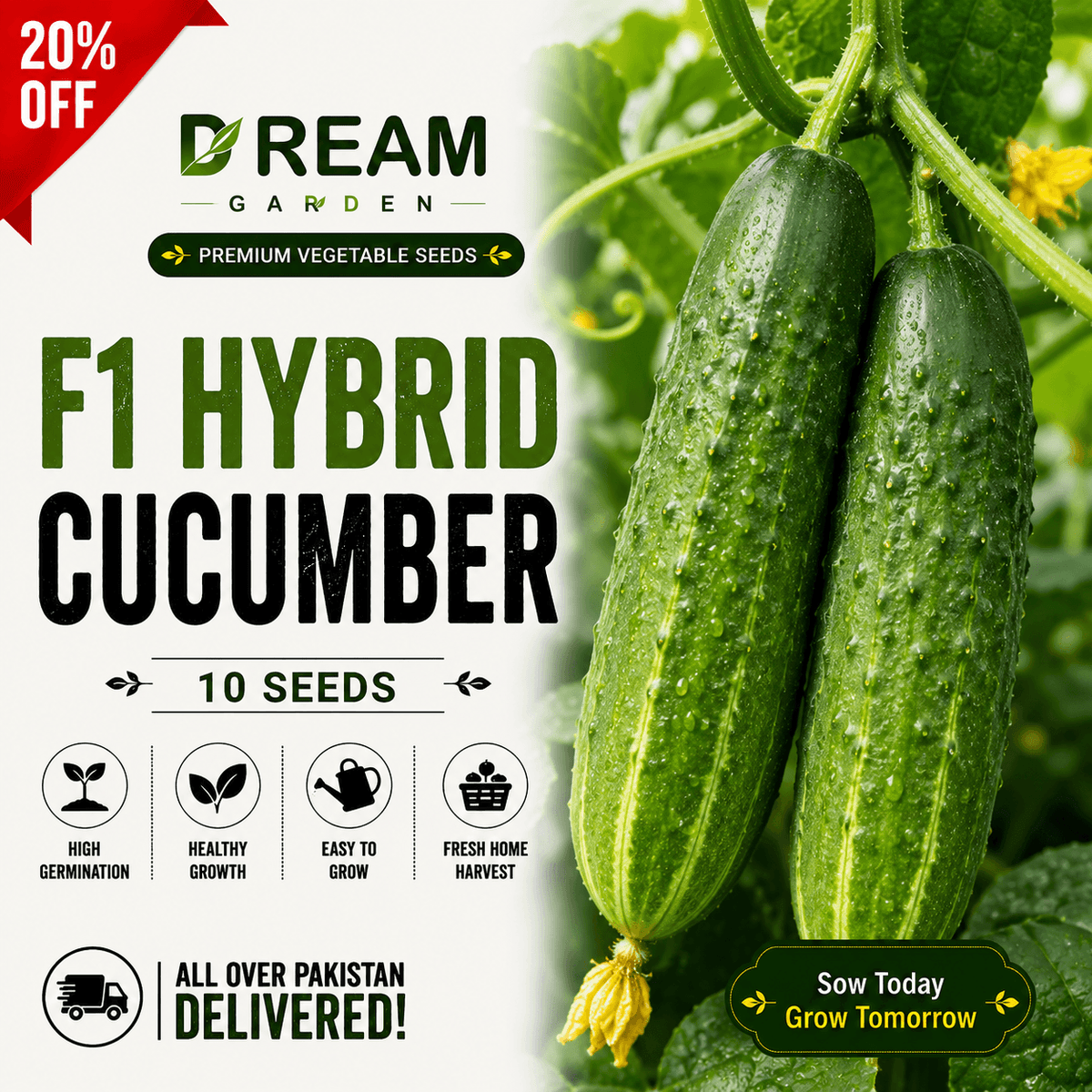 F1 Hybrid Cucumber (کھیرا) 10 Seeds