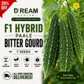F1 Hybrid Paale Bitter Gourd (پالی کریلا) 7 Seeds