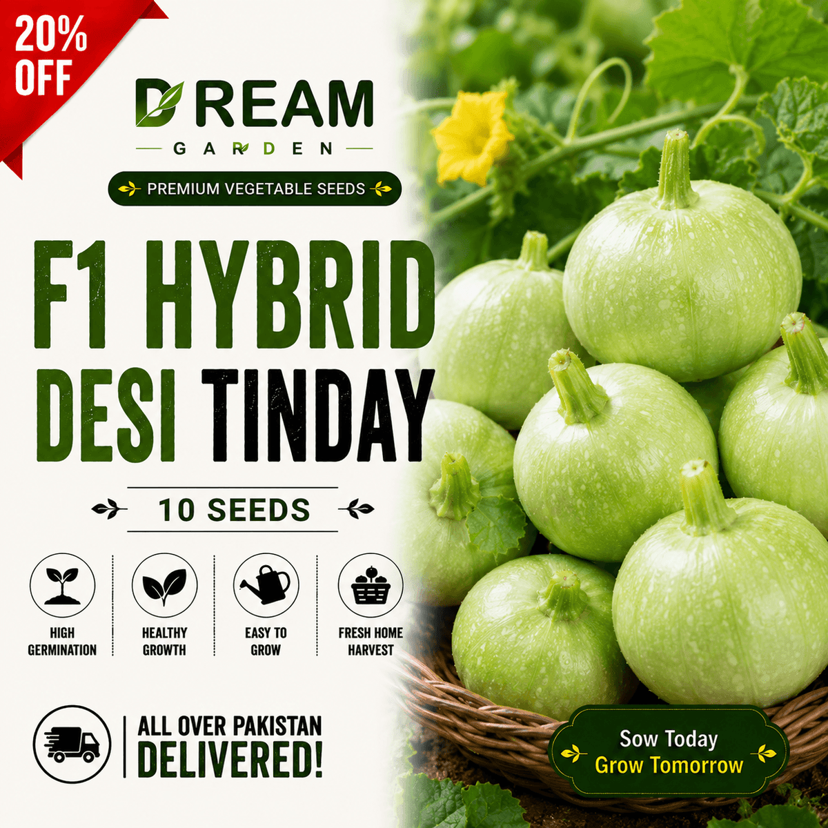 F1 Hybrid Desi Tinday (دیسی ٹینڈے) 10 Seeds