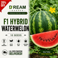 F1 Hybrid Watermelon (تربوز) 10 Seeds