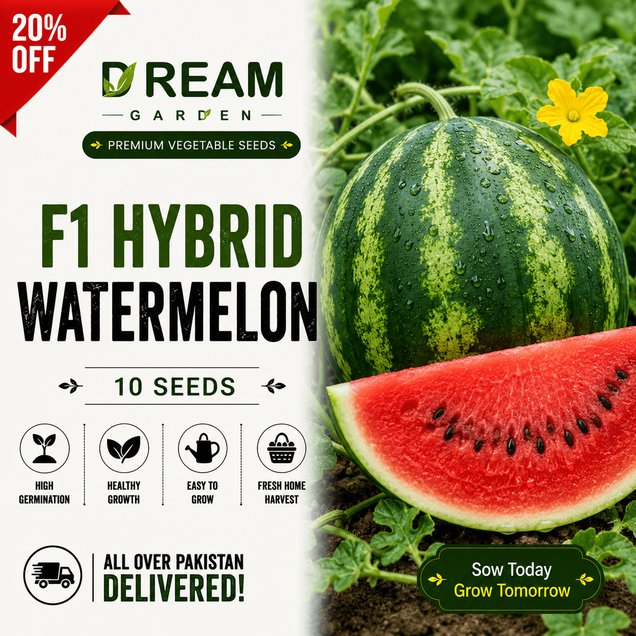F1 Hybrid Watermelon (تربوز) 10 Seeds