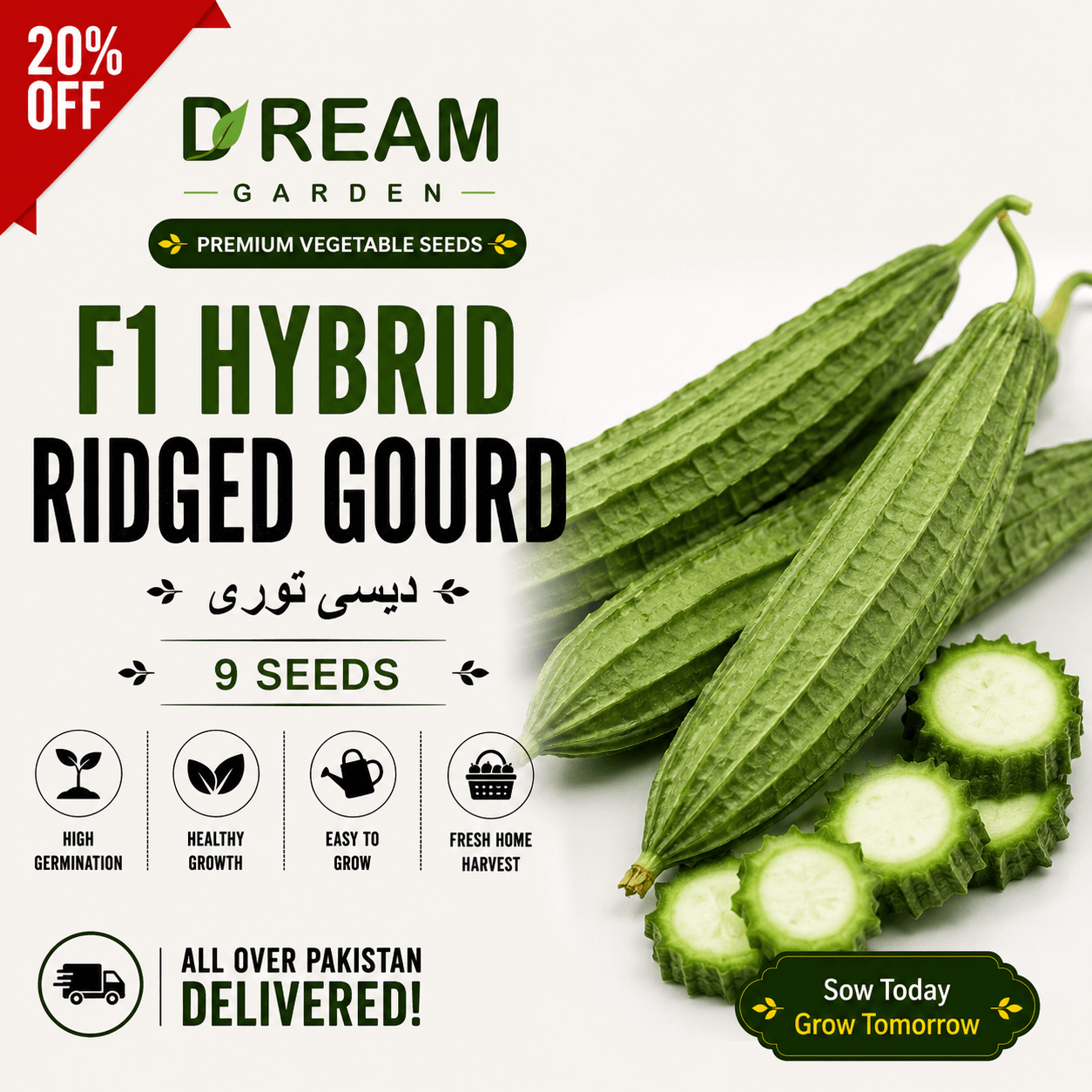 F1 Hybrid Ridged Gourd (دیسی توری) 9 Seeds